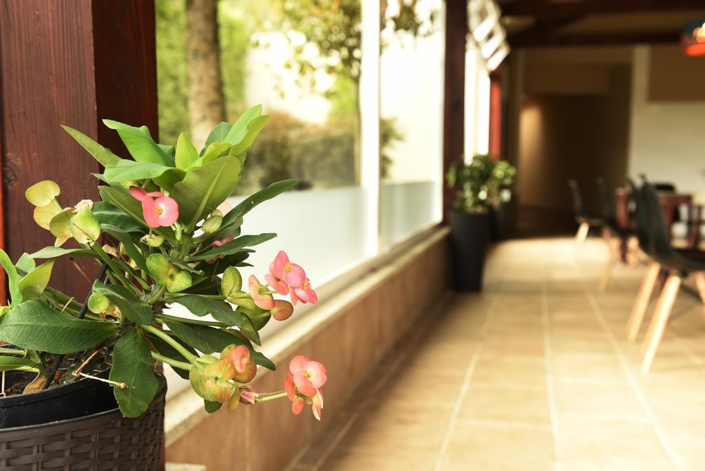 Hotel Carlos 96 ميليدي المظهر الخارجي الصورة
